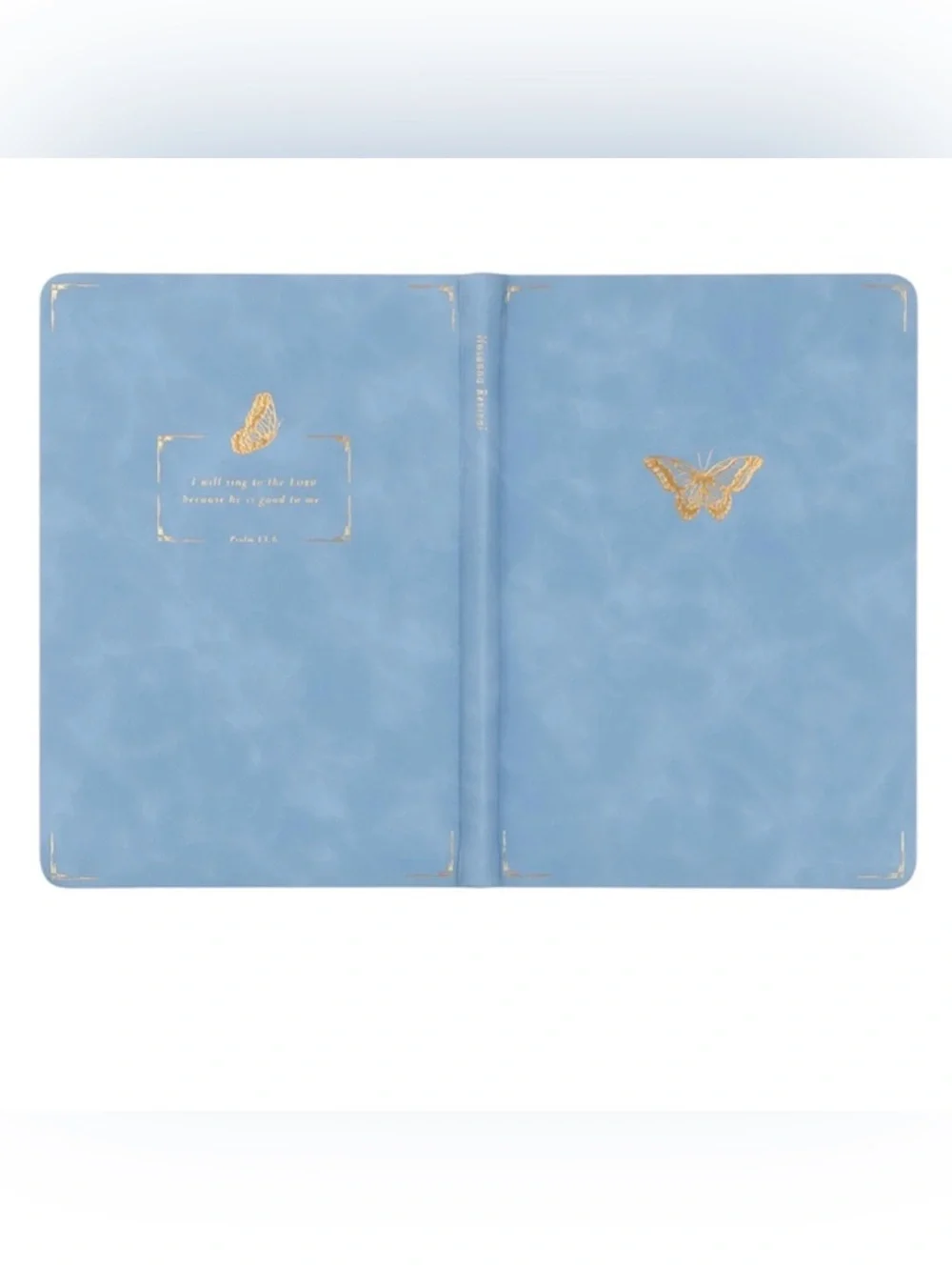 HOSANNA REVIVAL NOTEBOOK: BETHANY THEME